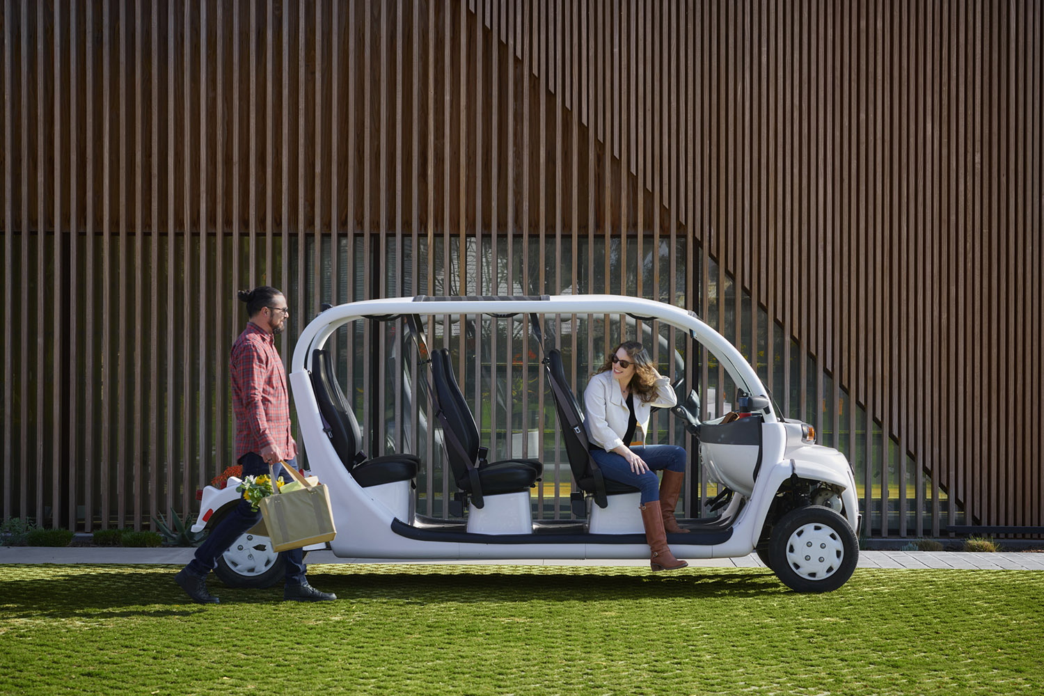 Neighborhood Electric Vehicle Subsidy